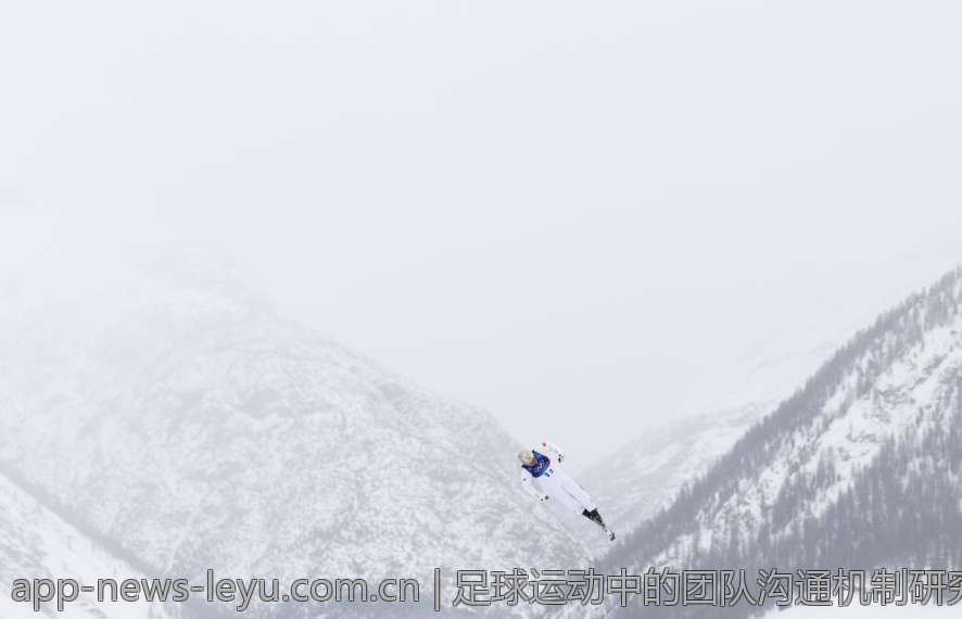 足球运动中的团队沟通机制研究