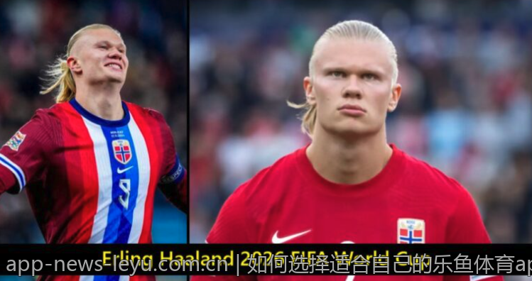 如何选择适合自己的乐鱼体育app